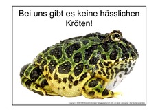 Hässliche-Kröte-1.pdf